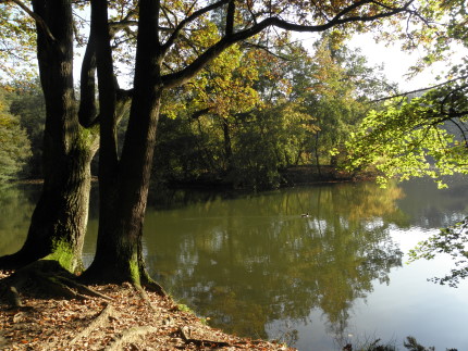 Schon wieder ausgezeichnet: Goethewanderweg