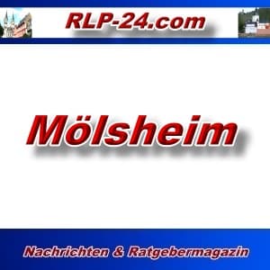RLP-24 - Mölsheim - Aktuell -