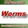 News-Welt-RLP-24 - Worms - Aktuell -