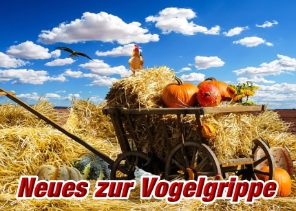 neues-zur-vogelgrippe